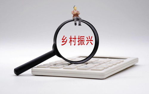 打通金融“最后一公里”，以多元服務賦能鄉村振興