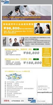 深圳SAP Business One軟件綜合服務(wù)指南 報價、實施、培訓(xùn)與外包解決方案
