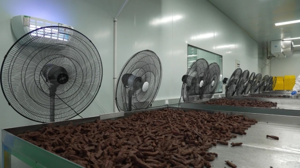 開發(fā)區(qū)肉牛產(chǎn)品 以“牛”品質(zhì)征服全國市場(chǎng)