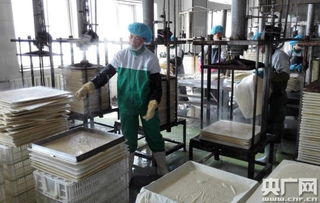 天人和 寧夏食品企業榮膺中國豆制品樣板工廠，引領健康飲食新風尚